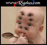 8 yeux !!!!!!!!!!!!!!!!!!!!!!!!!!!